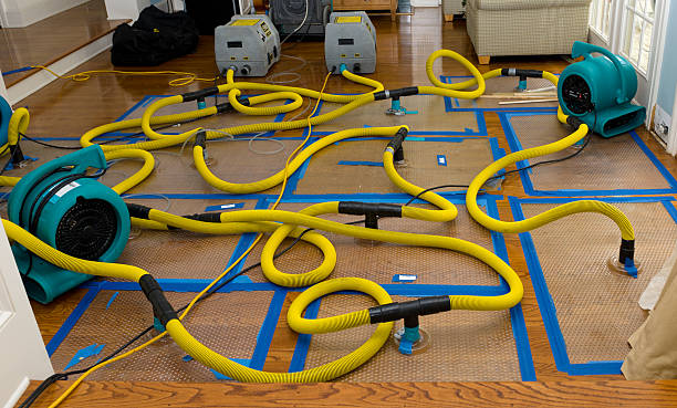 Professional Water Damage Repair technician working in Saddle River, NJ
